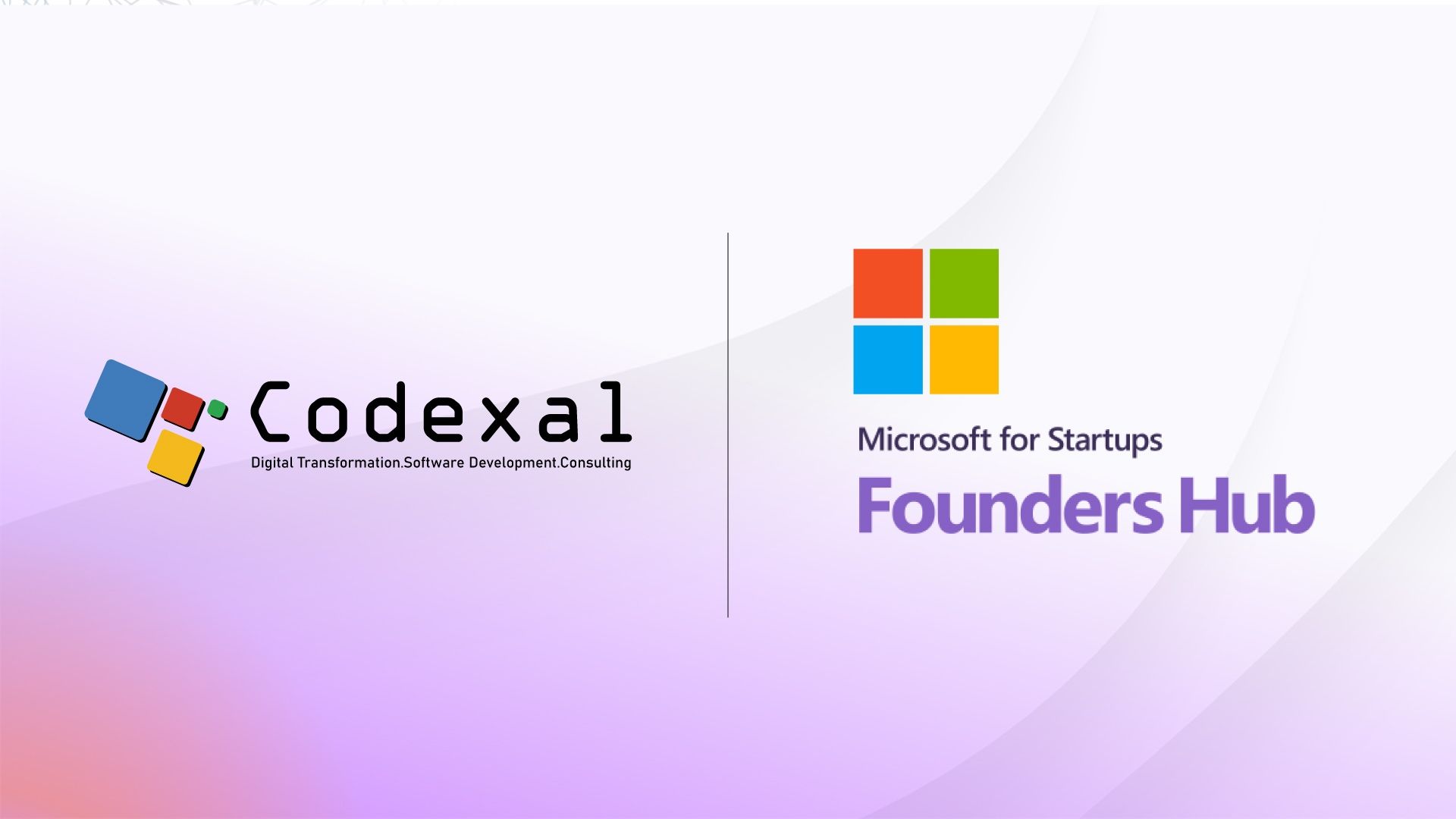 Codexal company IT solution